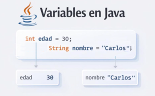 variables en java